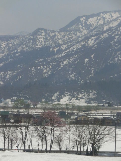 CIMG4674