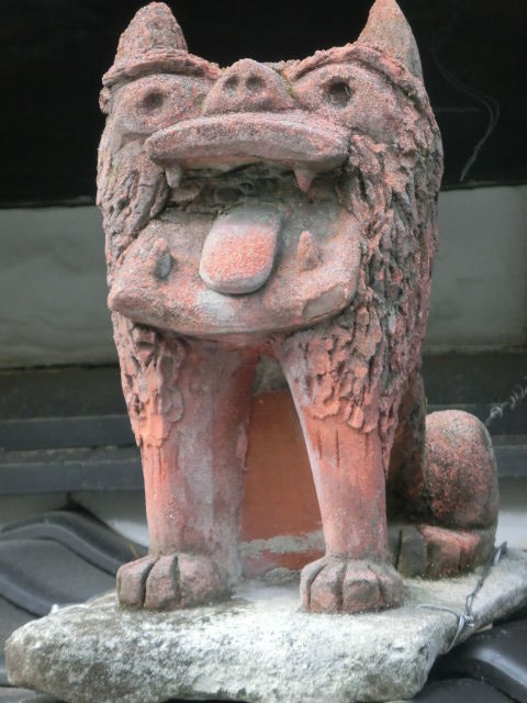 CIMG5881
