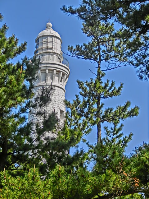 CIMG0311