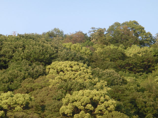 CIMG7862