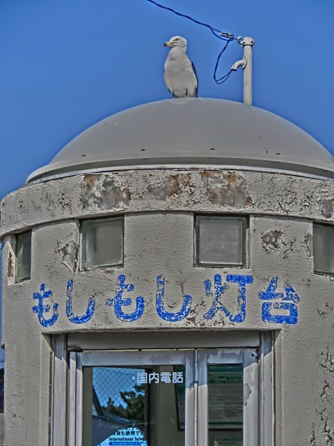 CIMG0255