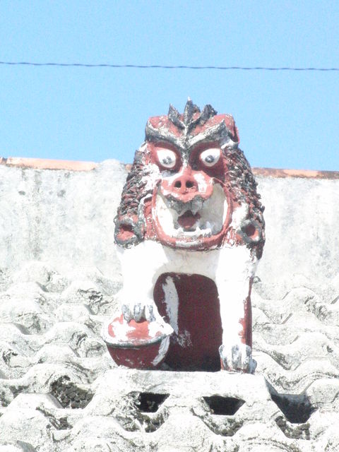CIMG1224
