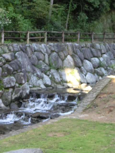 CIMG0815