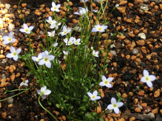 CIMG1041