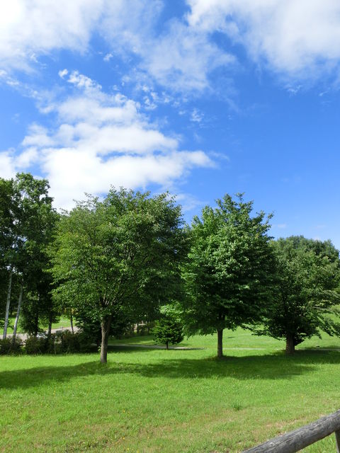 CIMG7086