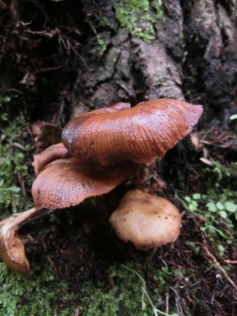 CIMG1470