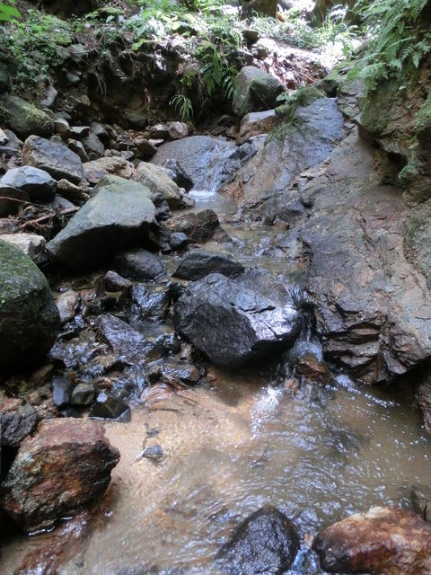 CIMG8118
