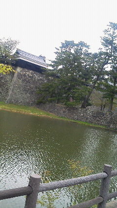 -5image