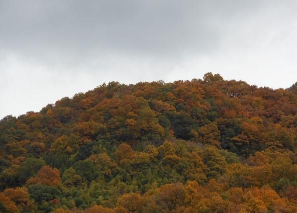 DSCN0419-3