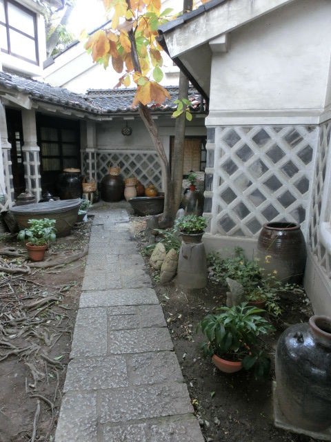 CIMG7893