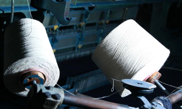 今年もボンクラに～