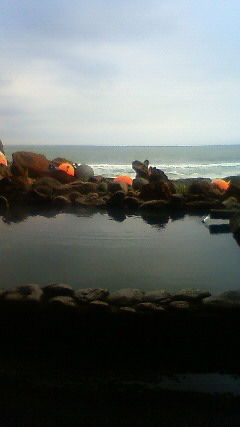 大人の社会見学！Ⅱ