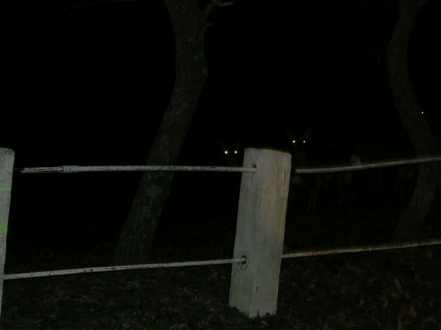 大人の社会見学！鹿児島編～！Ｐａｒｔ-2