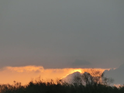 今年もよろしく！