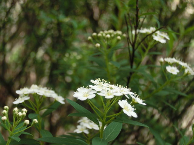 リフレッシュ場所！