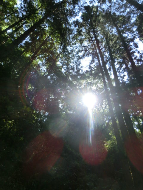 トレッキング中に。