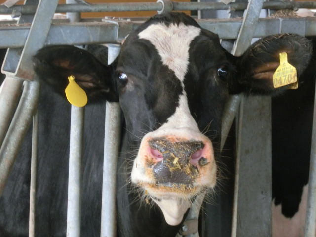 リフレッシュ逃走～～！