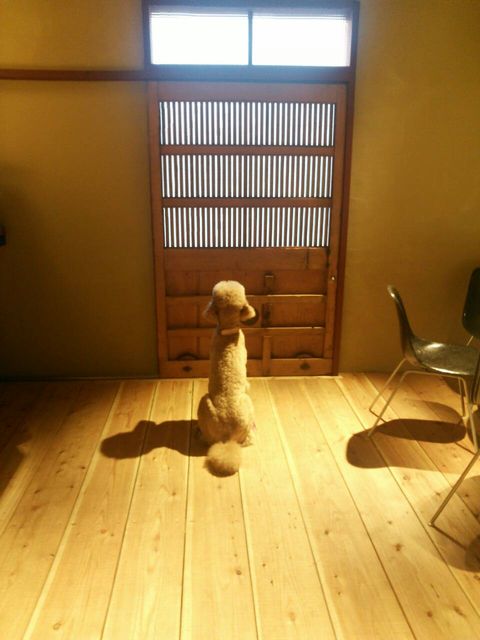 あけましておめでとうございます！