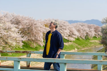 満開の桜！Ⅱ
