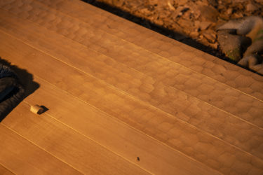 大人の社会見学