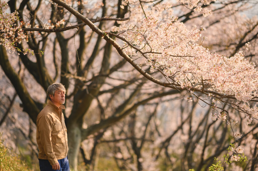 満開の桜