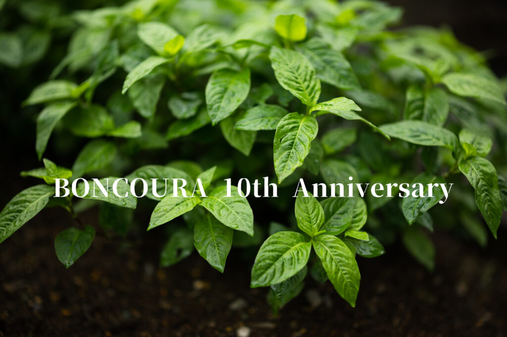 BONCOURA 10周年物語Ⅰ